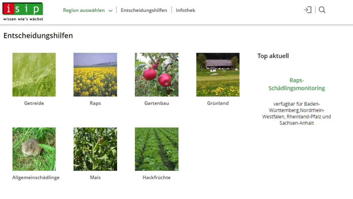 Die Internetplattform isip.de bietet Prognose- und Simulationsmodelle für verschieden Kulturen an. Foto: isip