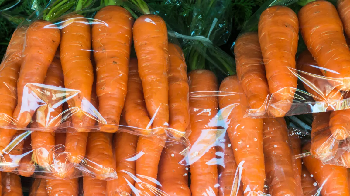 Kauft man Möhren zum Beispiel im Supermarkt in Folie, sollte man diese zuhause gleich entfernen. Foto: istock