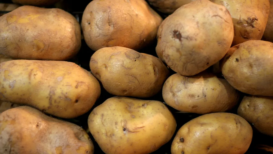 Kartoffeln sind das viertwichtigste Nahrungsmittel weltweit. Foto: adpic