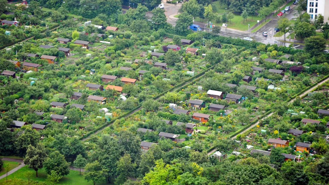 Der Tag des Gartens macht auf die Bedeutung von Kleingärten aufmerksam. Foto: istock