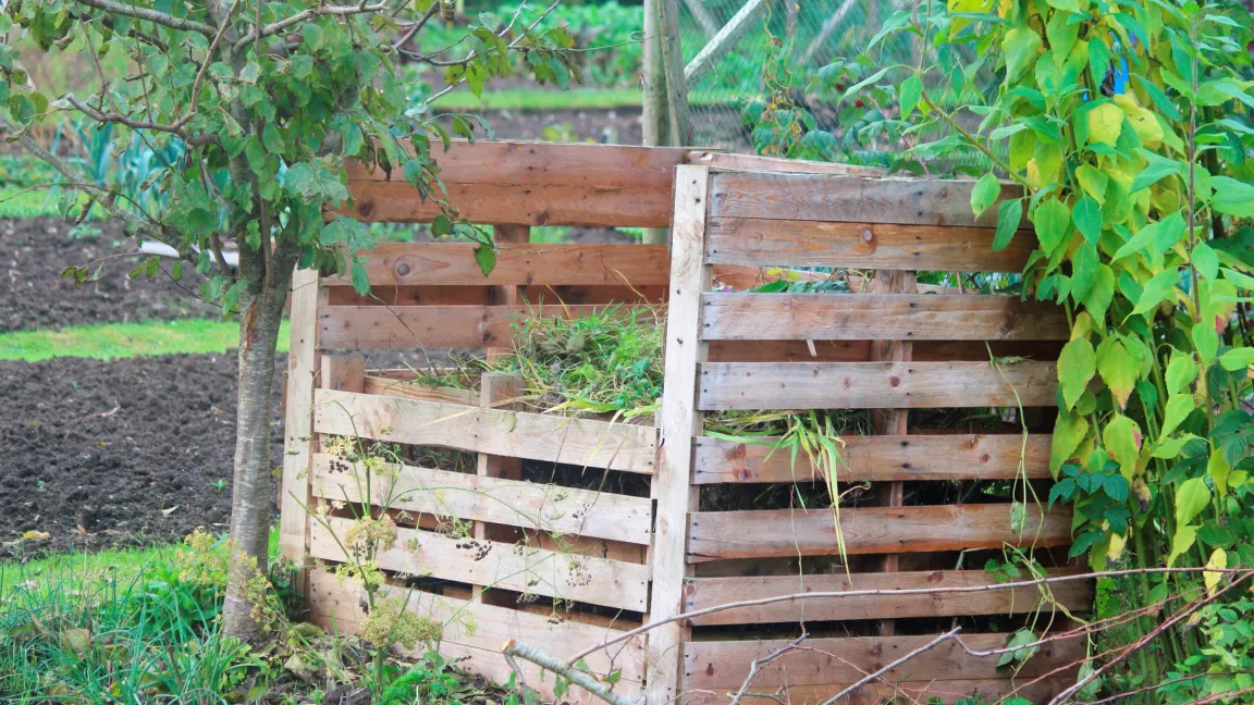 Zur typischen Gartenarbeit im Herbst gehört das Abräumen der Beete und das Entsorgen von Pflanzenresten. Doch Vorsicht - nicht alle kranken oder von Schädlingen befallenen Pflanzen gehören auf den Kompost!
Foto: istock