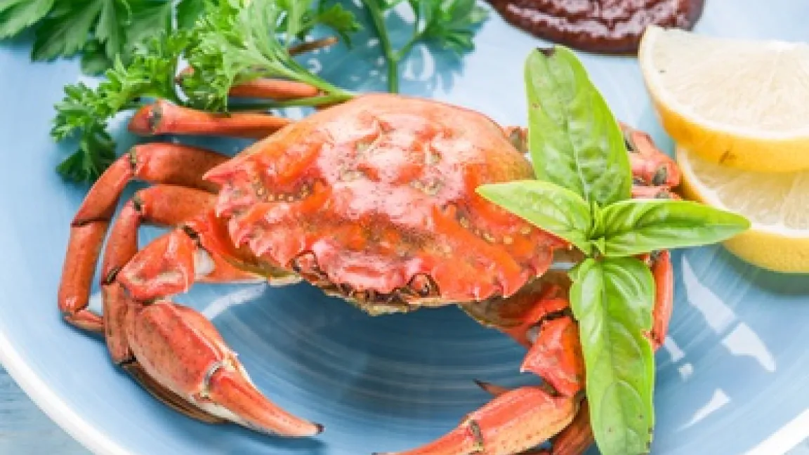 Krabben sind nicht nur eine Delikatesse, z. B. auf Weihnachtsfeiern ... Foto: Fotolia