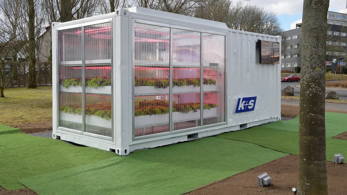 K+S hat im Frühjahr 2018 in Kassel eine Forschungsanlage zur Aquaponik - das ist die gemeinsame Erzeugung von Fisch und Gemüse - in Betrieb genommen. Foto: K+S