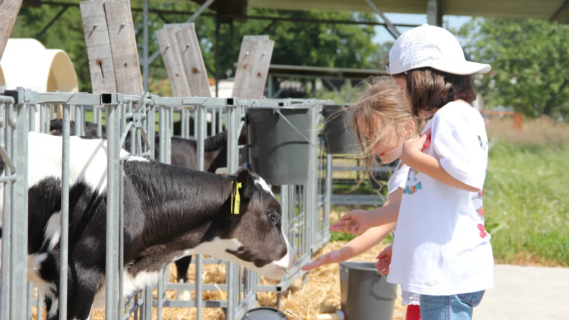 Alle zwei Jahre werden Kindergartenkinder auf landwirtschaftliche Betriebe eingeladen. Foto: Niedersächsischer LandFrauenverband Hannover (NLV)