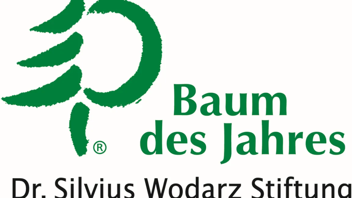 Logo: Baum des Jahres Dr. Silvius Wodarz Stiftung