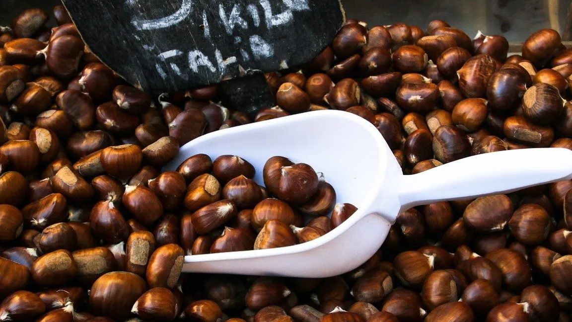 Die meisten nach Deutschland eingeführten Maronen stammen aus Italien. Foto: Gerhard G. / Pixabay