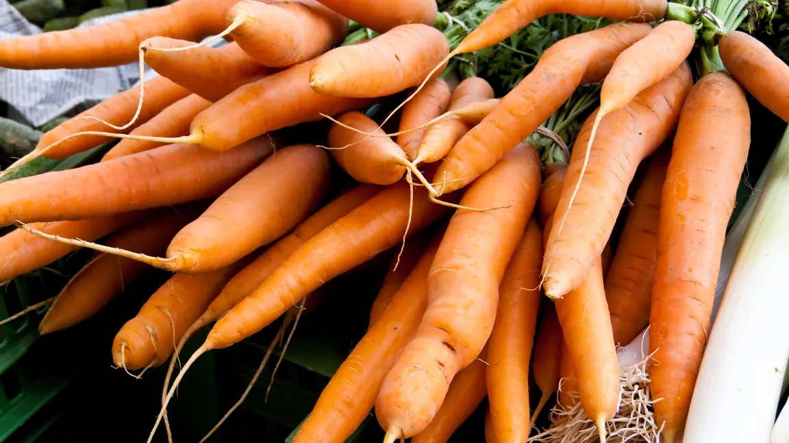 In Karotten stecken mehr gesunde Inhaltsstoffe als in ihren wilden Verwandten. Foto: adpic
