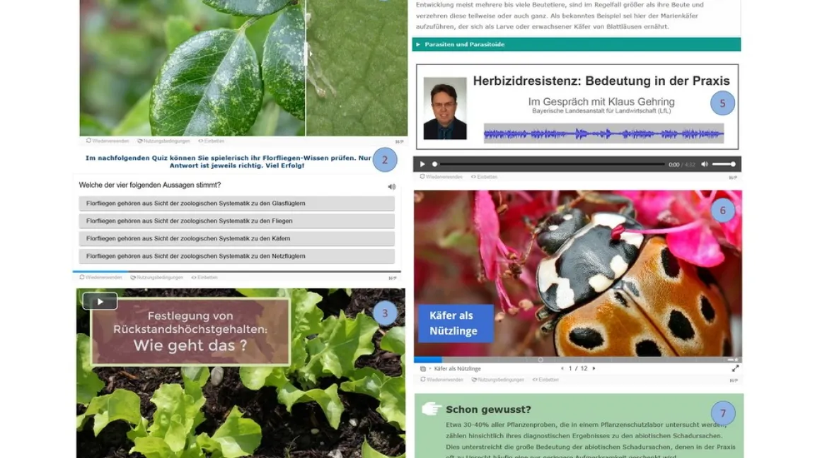 Eine kurze Auswahl der im Kurs genutzten multimedialen H5P-Elemente: 1) Bild im Bild-Funktion mittels Schieberegler, 2) Beispiel für ein Quiz, 3) Vertontes Video, 4) Akkordeon-Texte zum Ein -und Aufklappen, 5) Audio-Datei zum Abspielen, 6) PowerPoint-ähnliche Präsentation, 7) Farbig hervorgehobener Merkkasten. Foto: Hochschule Weihenstephan-Triesdorf