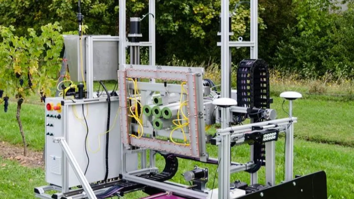 Der Phenobot soll bei der Bestimmung des optimalen Erntezeitpunkts und der Erkennung von kranken oder gestressten Pflanzen helfen. Foto: Hochschule Geisenheim