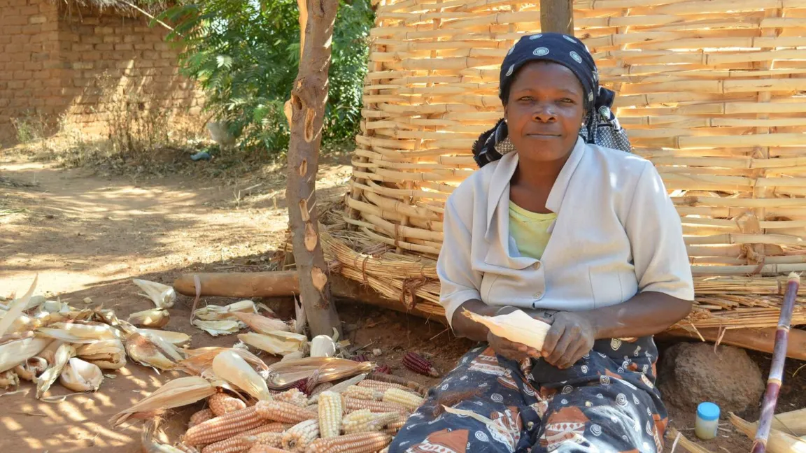Grundnahrungsmittel enthalten häufig nur wenig Mikronährstoffe. Foto: S. Koppmair / Uni Göttingen