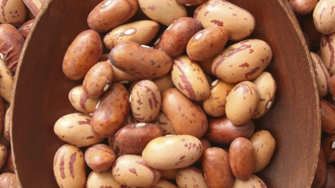 Pintobohnen sind ein traditionelles Grundnahrungsmittel in Brasilien. Um den Bedarf zu decken, müssen Bohnen aus Argentinien, Bolivien und China eingeführt werden. Foto: istock