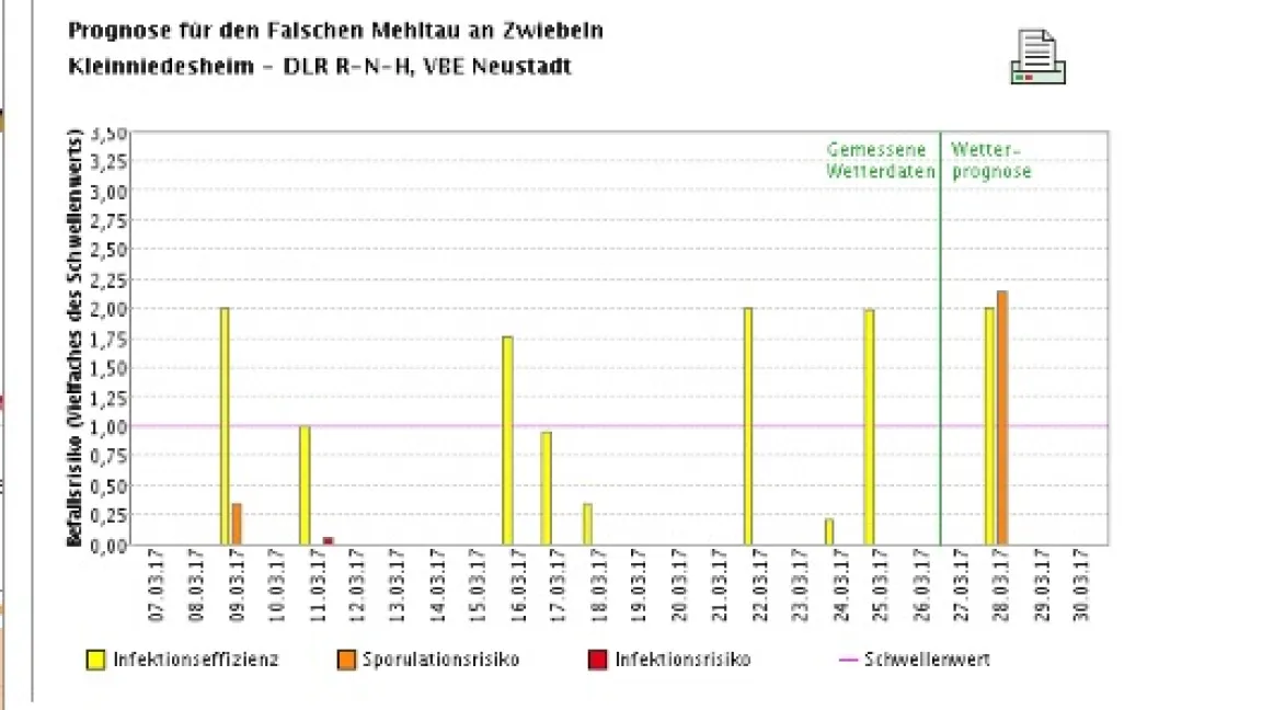 Beispiel für eine Prognose des Falschen Mehltaus an Zwiebeln. Foto: ZEPP