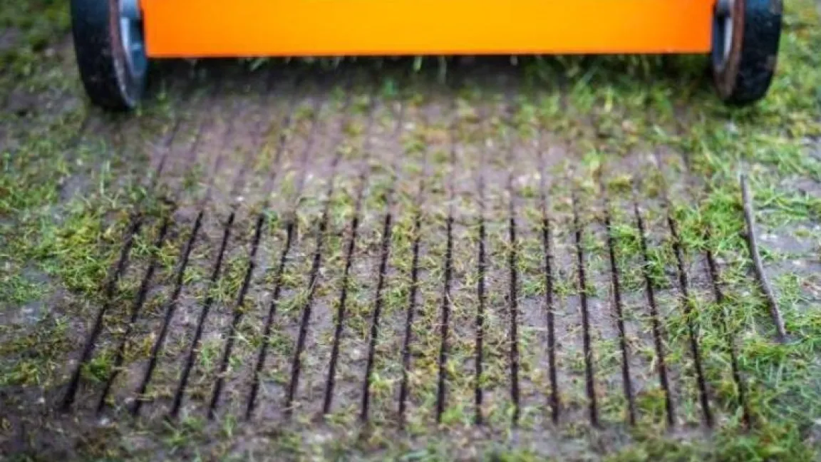 Dieser regenerationsbedürftige Rasen benötigt eine Mischung aus langsam wirkenden umhüllten und schnell wirkenden nicht umhüllten Nährstoffen. Foto: Compo