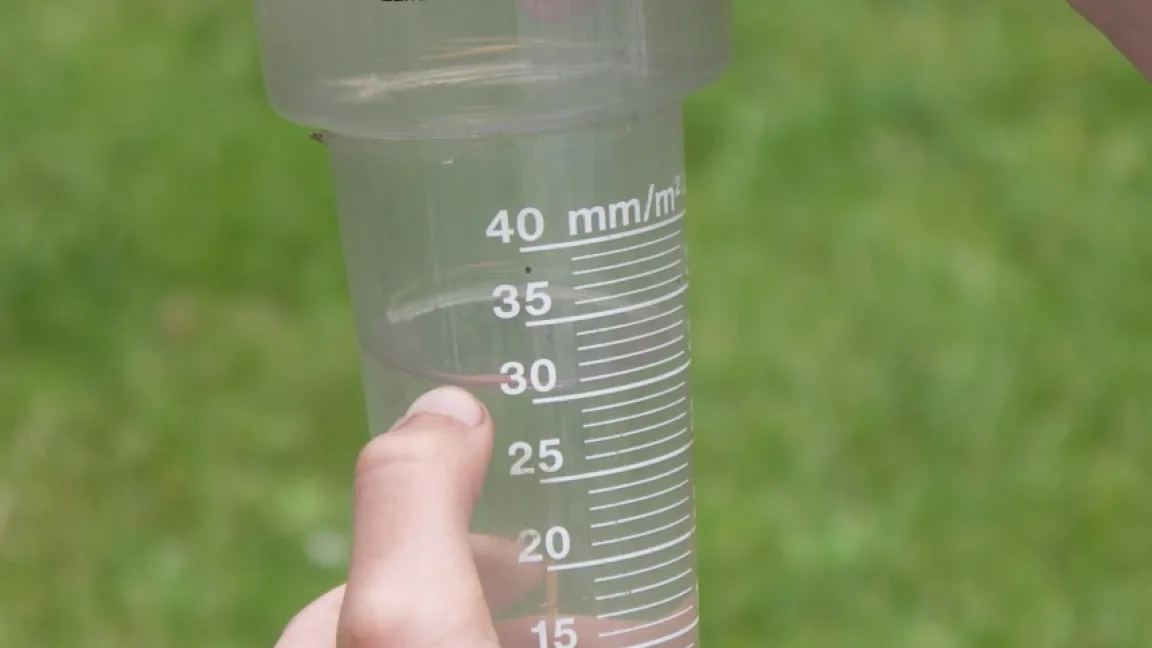 Bei extremen Wettersituationen sind Langzeitdünger im Vorteil. Foto: Matthias Wiedenau