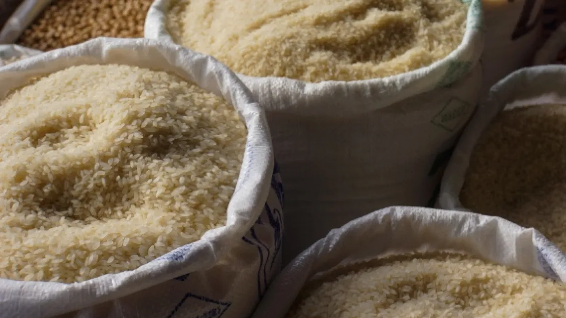 Reis kommt in mehr als 120.000 verschiedenen Sorten vor und ist einer der wichtigsten Nahrungspflanzen weltweit. Foto: Rainer Sutrm/Pixelio