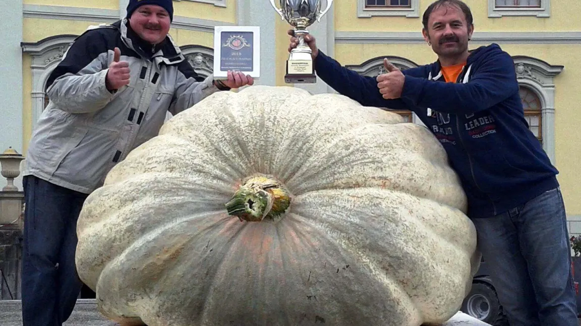 Robert Jaser (links) und Norbert Mitschke schwören auf allerbestes Saatgut. Foto: privat