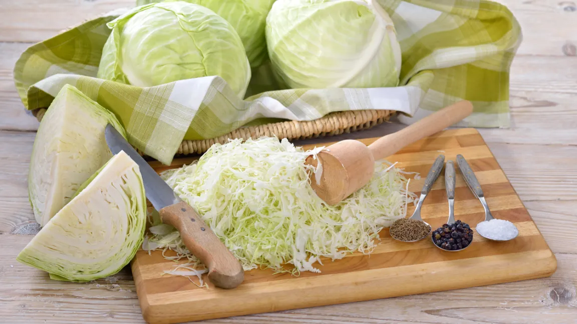 Fein geschnittener Weißkohl, Salz und Gewürze sind die Zutaten für die Sauerkrautzubereitung. Foto: iStock