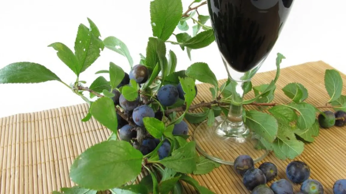 ... oder auch Schlehenwein. Foto: Fotolia