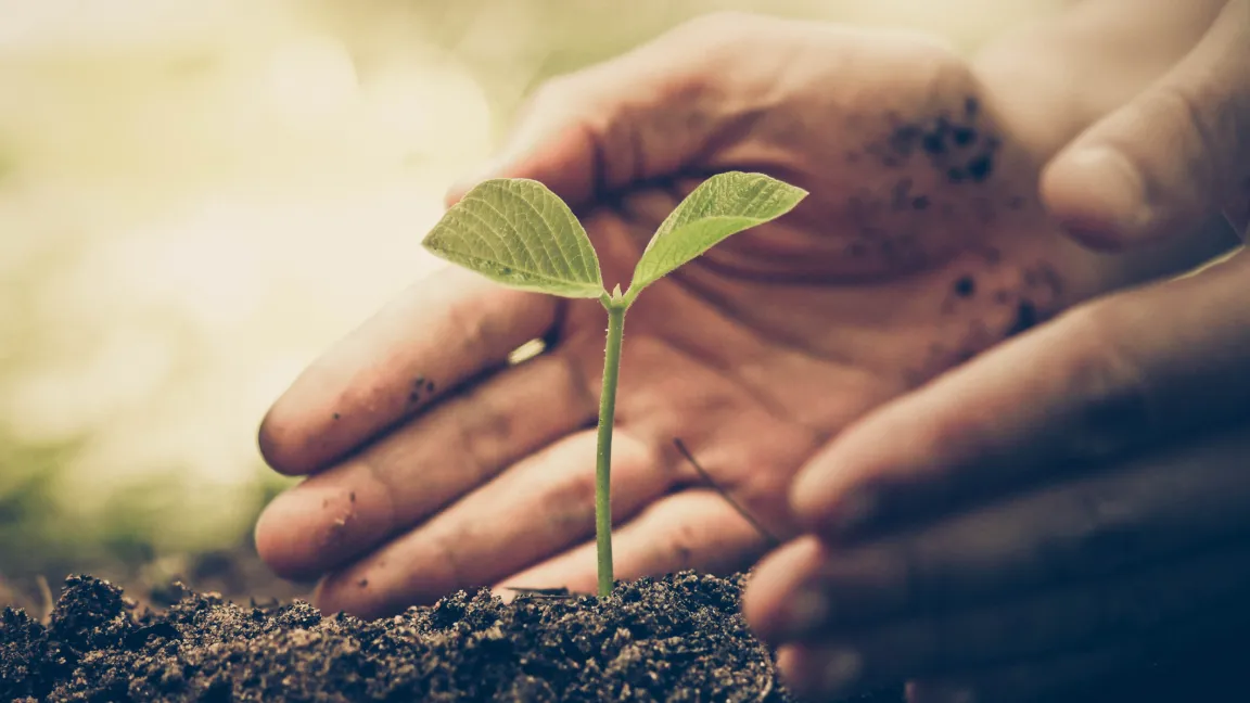 Beim Thema Pflanzenschutz spielen Emotionen eine große Rolle. Wissenschaftliche Fakten sprechen oft eine andere Sprache. Foto: istock