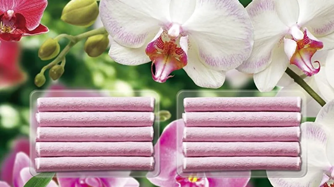 Düngerstäbchen werden in den Blumentopf gesteckt und ernähren die Topfpflanze über Monate hinweg. Foto: Compo