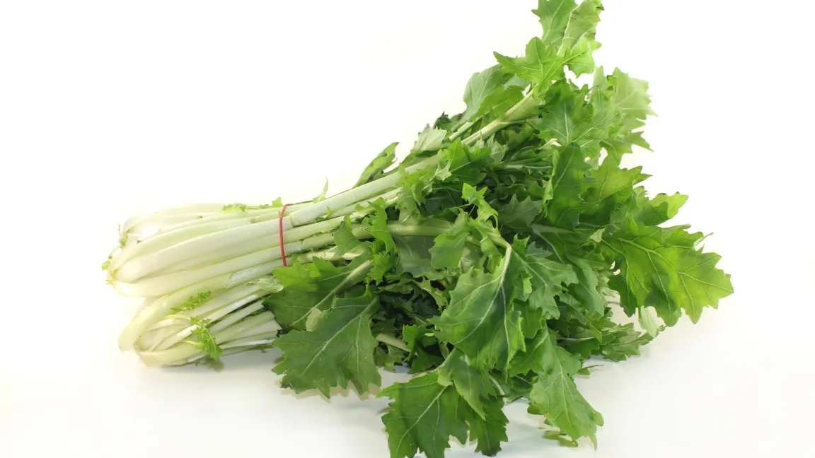 Auf dem Wochenmarkt oder im Fachhandel wird Rübstiel meistens als Bündel angeboten. Weil er schnell welkt, sollte er zügig verbraucht werden. Foto: Fotolia