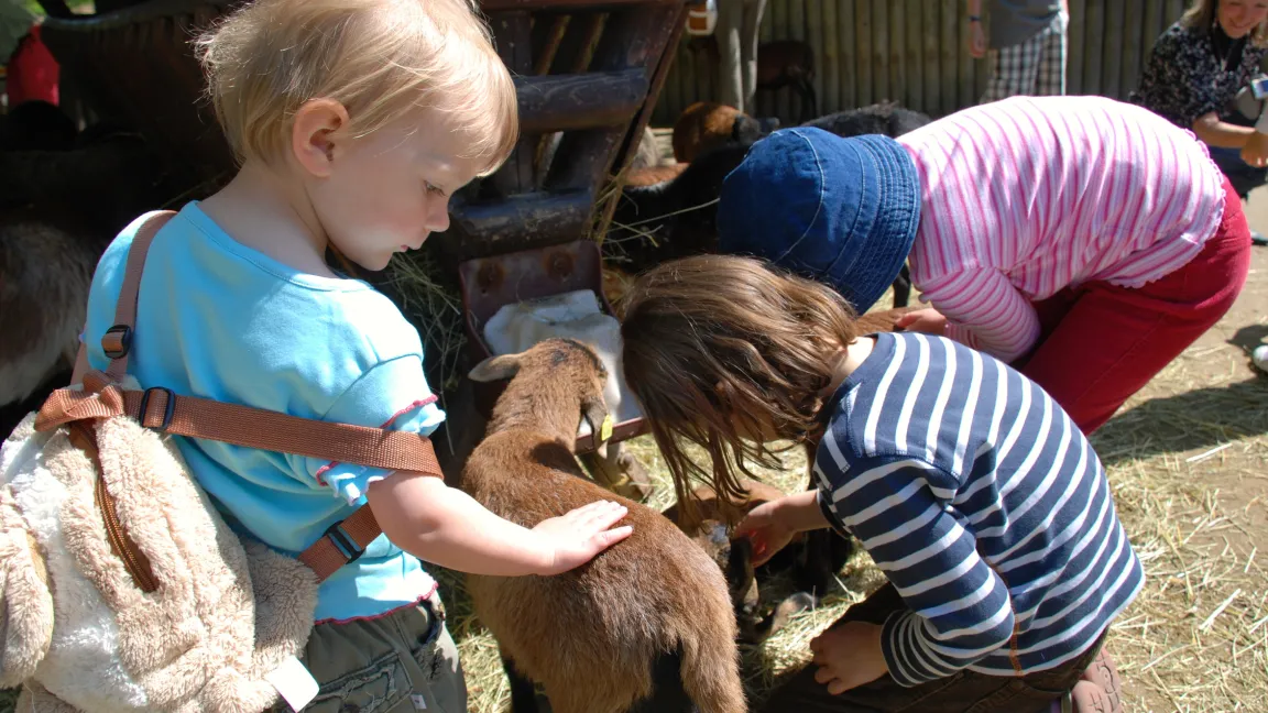 Ein Streichelzoo gehört zu den Attraktionen für Kinder. Foto: Fotolia