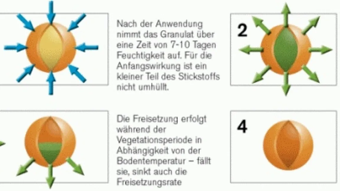 Das Funktionsprinzip von umhüllten Düngern. Foto: dünger.tv