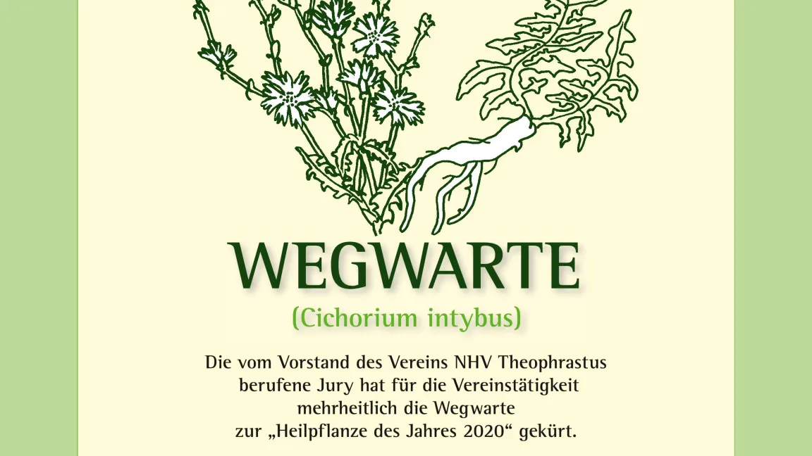 Foto: NHV Theoophrastus