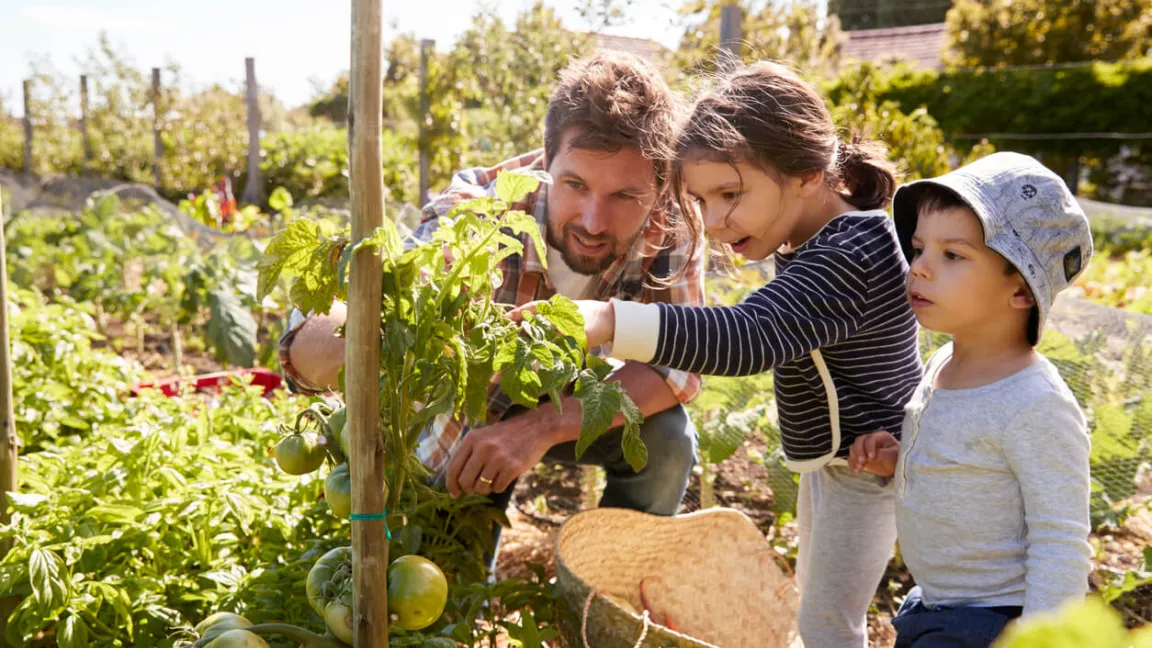 Im Garten können Kinder lernen, wie Obst und Gemüse wachsen. Foto: istock