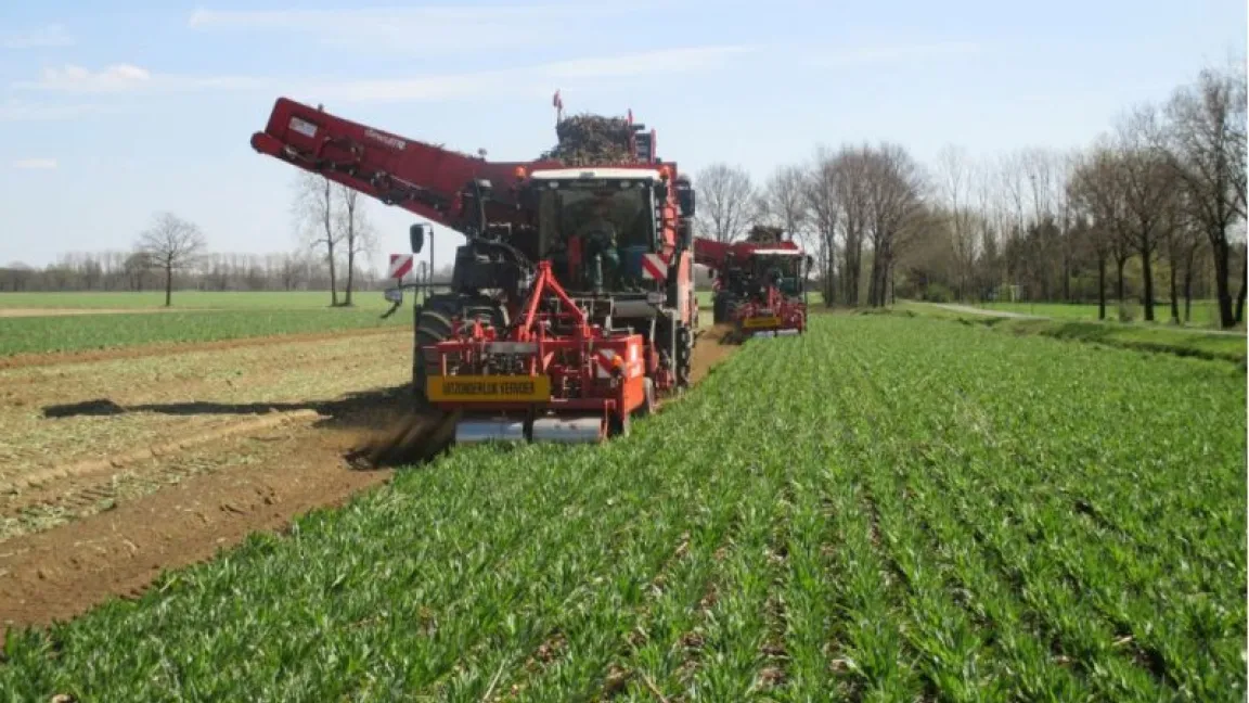 Die Ernte im Erwerbsanbau erfolgt mit Spezialmaschinen. Foto: dewulfgroup
