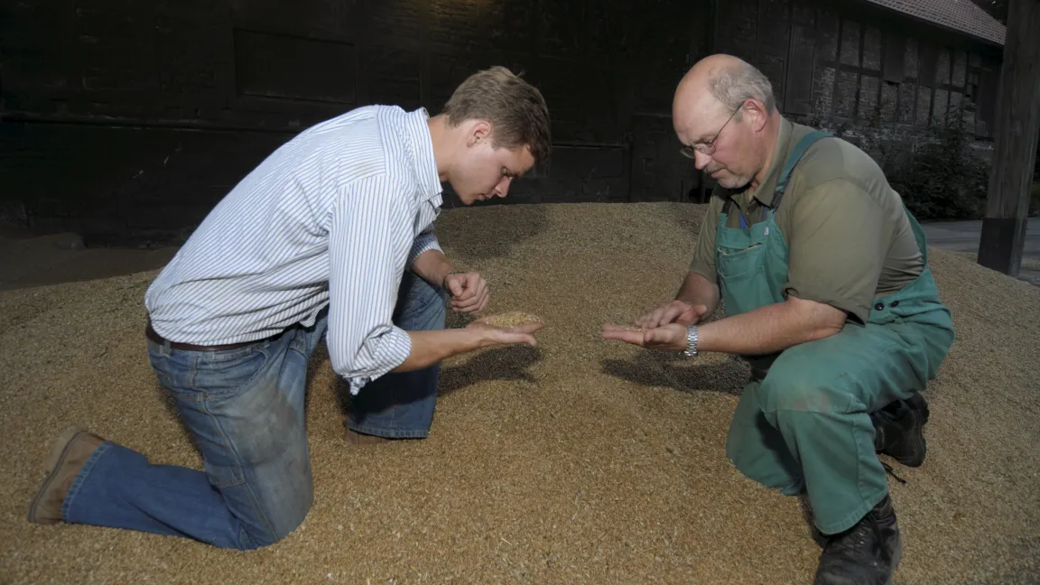Für Landwirte, Händler und Mühlen wird der Schutz des eingelagerten Getreides schwieriger. Foto: Christian Mühlhausen / Landpixel