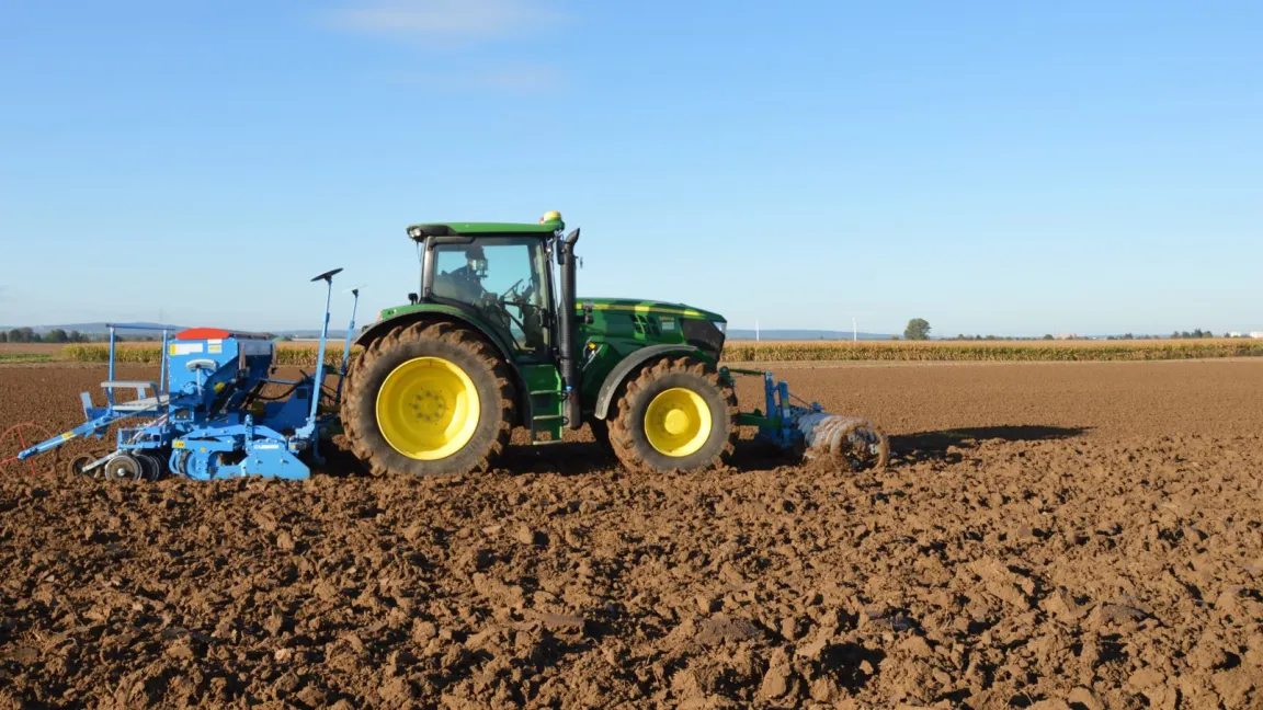 Die Aussaatmenge des Weizens schwankt je nach Bodenart zwischen 280 und 560 Körnern pro Quadratmeter. Foto: Matthias Wiedenau