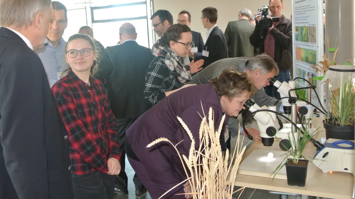 An der Weizenstation Pilzresistenz betrachten Wissenschaftler Pilzinfektionen unter dem Mikroskop. Die Schüler erklären, wie bei der Suche nach Resistenzquellen vorgegangen wird. Foto: Stefanie Hahn, JKI