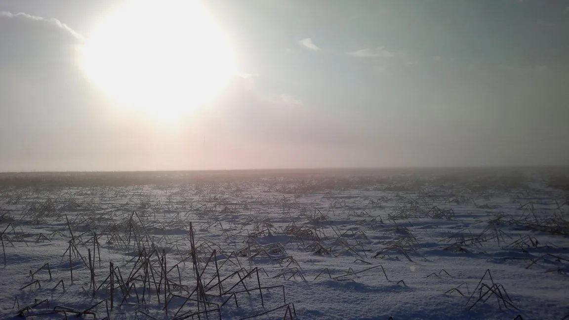 Die Ruhe in der Natur gibt dem Landwirt im Winter die Möglichkeit, die Weichen für das nächste Jahr zu stellen. Foto: Matthias Wiedenau