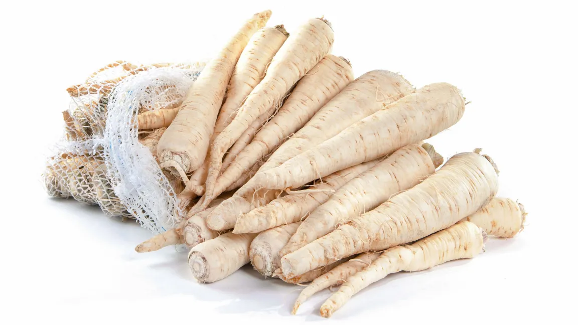 Petersilienwurzeln – Wintergemüse mit Potenzial. Foto: istock