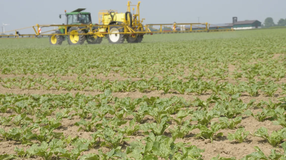 Die Mehrzahl der Landwirte setzt aus Zeitgründen auf die chemische Unkrautbekämpfung. Foto: agrar press