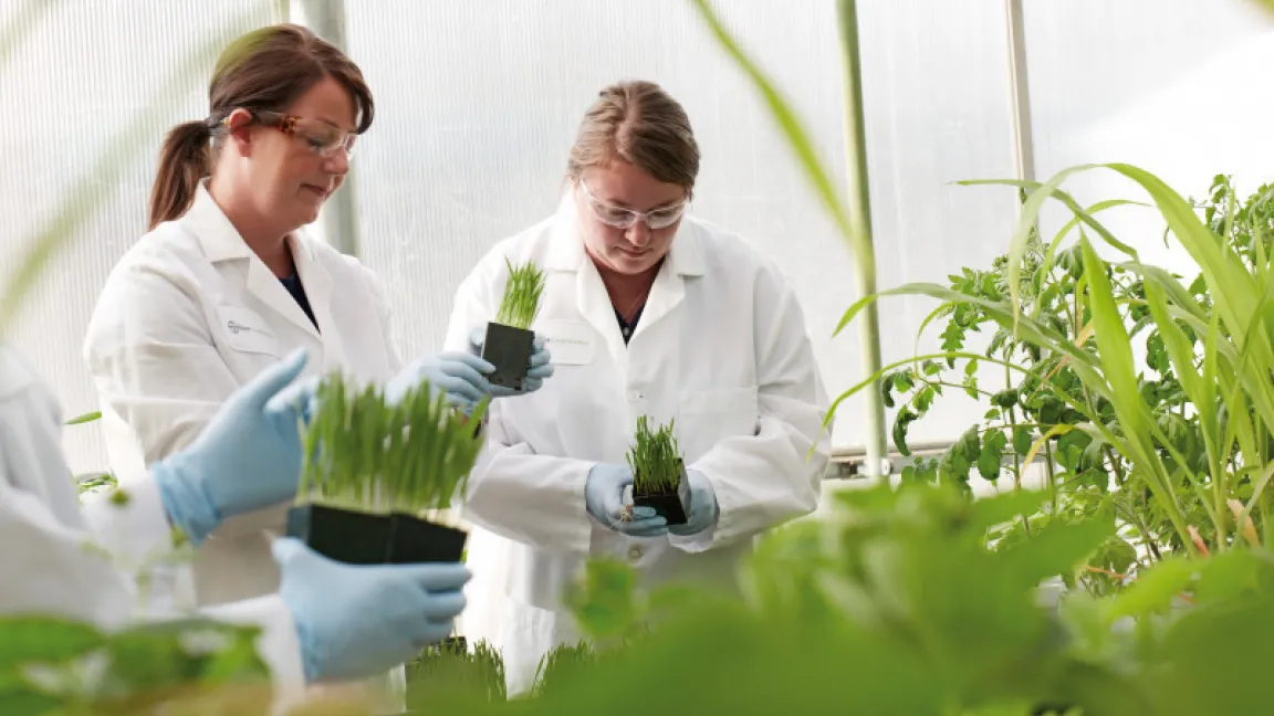 Die Suche nach neuen Wirkstoffen kostet viel Zeit und Geld. Foto: Bayer CropScience