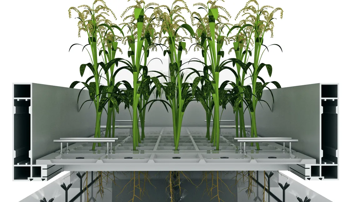 Detail eines Pflanzmoduls. Foto: Uni Hohenheim