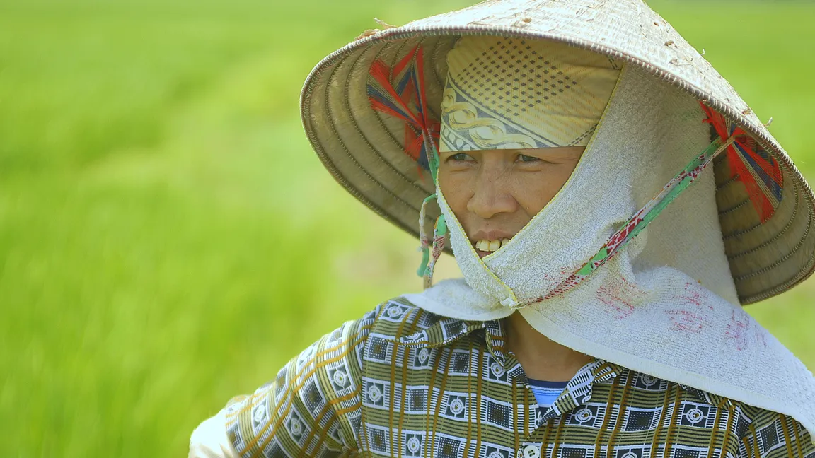 Ngo Thi Vi aus Dong Mai, Provinz Bac Ninh, im Norden von Vietnam ...
Foto: CropLife International