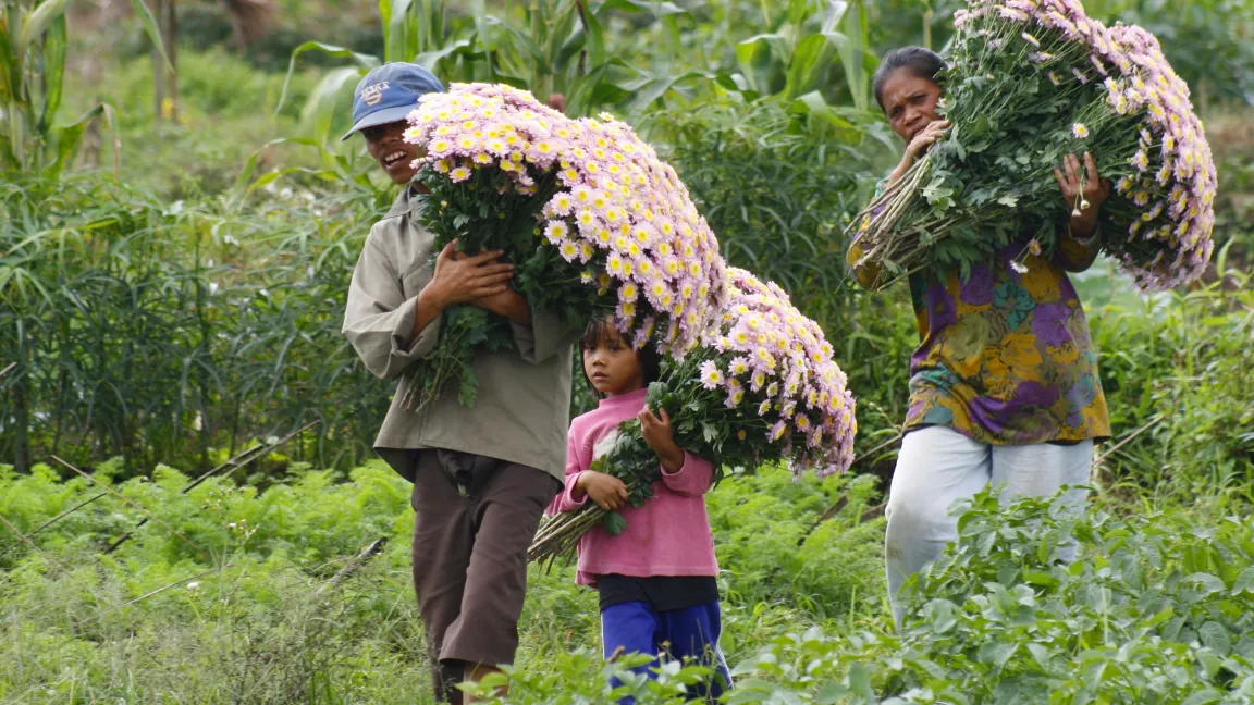 Die Blumen werden auf den Markt gebracht. Foto: CropLife International
