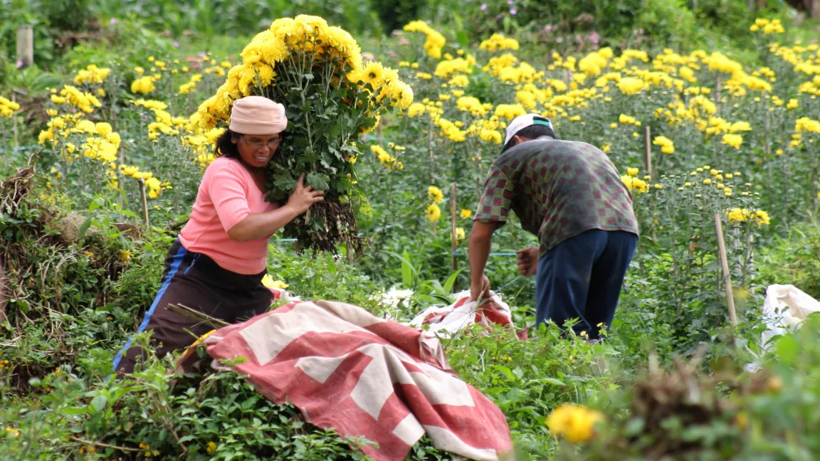 Mit dem Anbau von Blumen kann sie sich ein Zubrot verdienen... Foto: CropLife International
