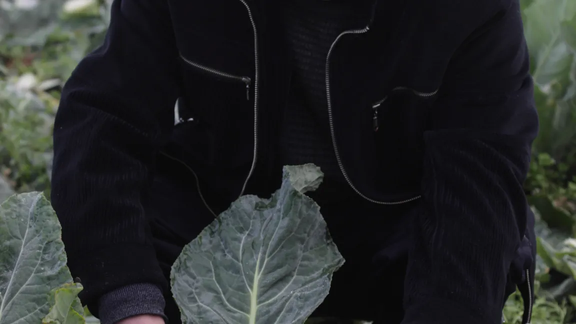 Die erste Ernte nach dem verheerenden Erdbeben fällt dank ertragsorientierter Anbaumethoden gut aus. Foto: CropLife International