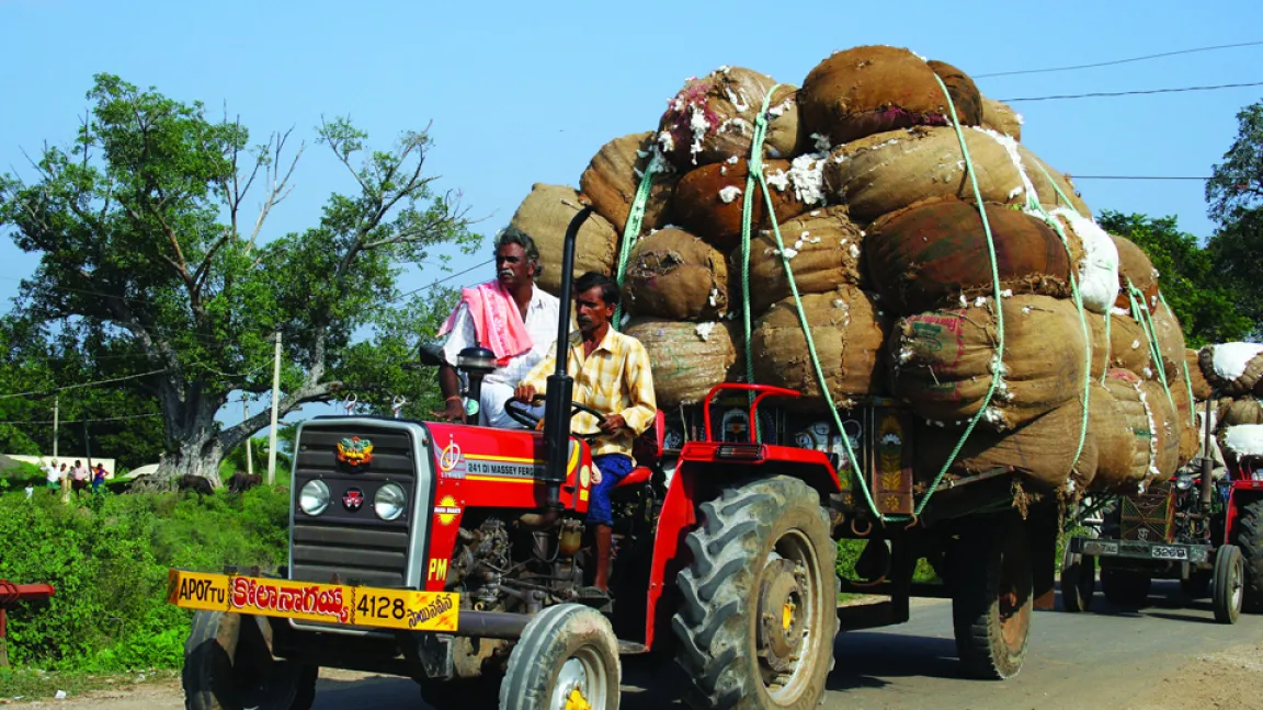 Durch den Anbau der gv-Baumwolle konnte der Ernteertag gesteigert werden. Foto: CropLife International
