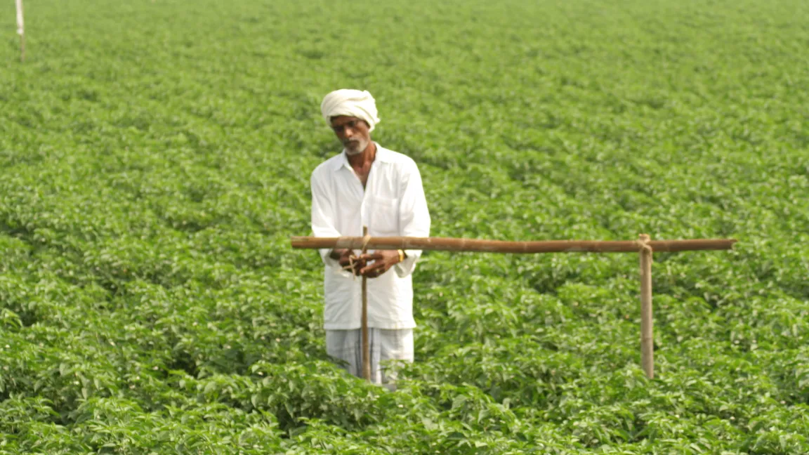 Der Farmer beim Aufstellen einer Pheromon-Falle. Foto: CropLife International