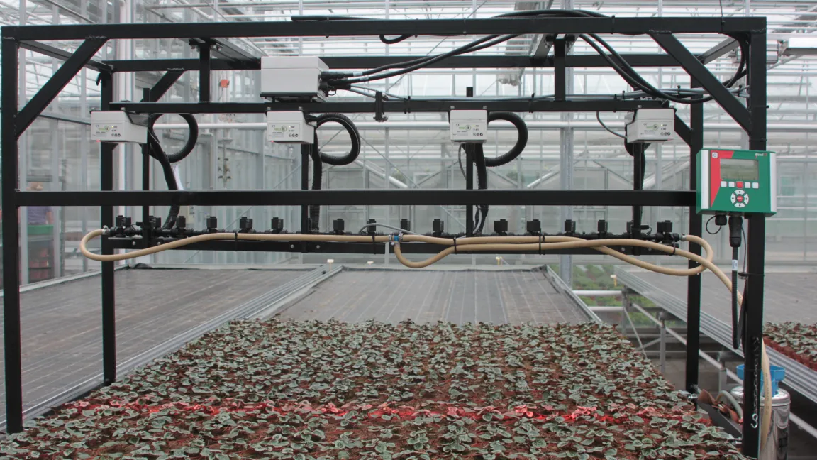 Tests sensorgesteuerter Düsen in Cyclamen in Bad Zwischenahn. Foto: LVG Bad Zwischenahn