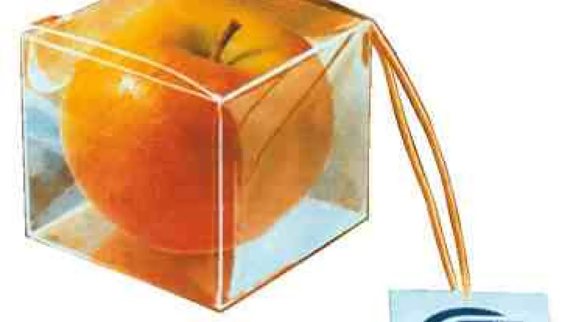 „QS und die gläsernen Früchte, transparent vom Feld bis zur Ladentheke“.
	Quelle: CMA