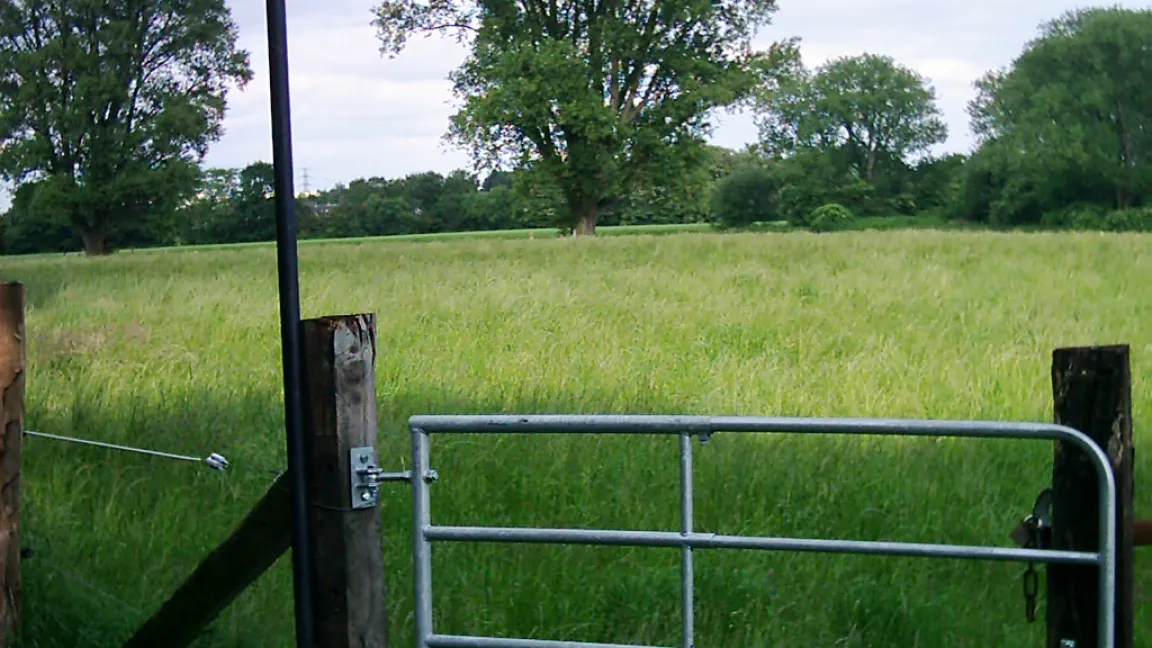 Das Ziel großer Teile der Bevölkerung in Deutschland sind gentechnikfreie Zonen. Foto: Jiry/pixelio