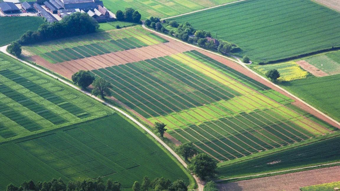 .... und heute.
Copyright: Rothamsted Research Ltd