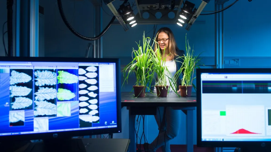 Wenn die neue Technik praxisreif ist, kann sie dazu beitragen, die richtigen Pflanzenschutzmittel zum optimalen Zeitpunkt einzusetzen. Foto: Volker Lanner/Uni Bonn