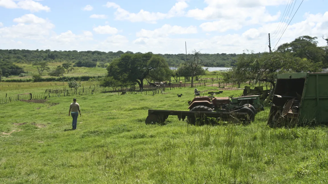 Die Arnolds beschäftigen auf der 4000 Hektar großen Silver River Farm 50 fest angestellte Arbeiter und 20 Saisonarbeiter. Foto: CropLife International